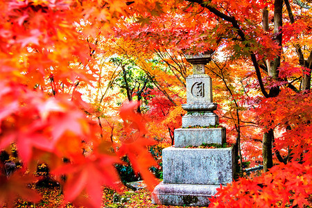 Eikando寺京都关西日本Kansai的Eikando寺园秋色图片