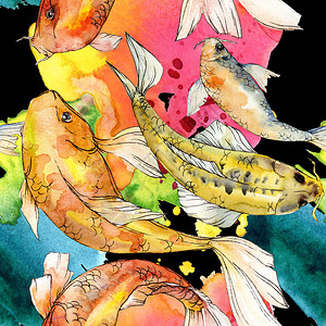 水彩生下五颜六色的热带鱼套装背景图片