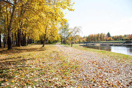 有池塘的秋天公园图片