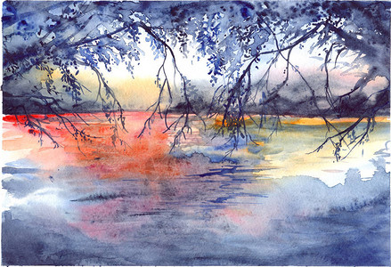 日落树枝系河湖地貌水图片