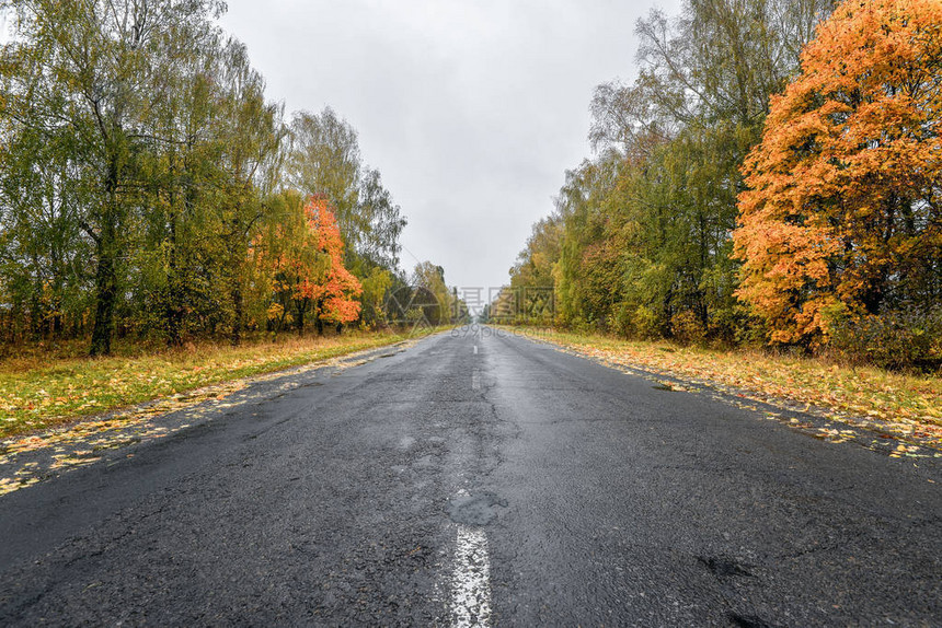 空旷的柏油路穿过秋天的树林秋天的景色与森林中的道路美丽的风景空旷的道路在秋天和树林里在秋天的森林和喜怒无常的多云天图片