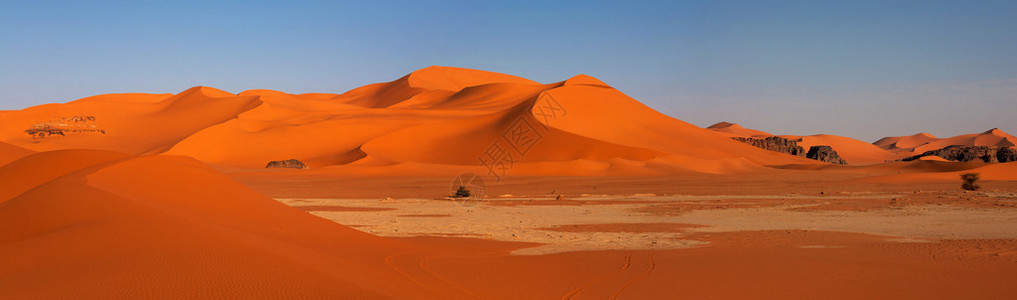 杜纳市长撒哈拉沙漠中的沙丘插画