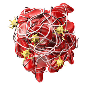 纤维蛋白医疗插图显示带有活小板设计图片