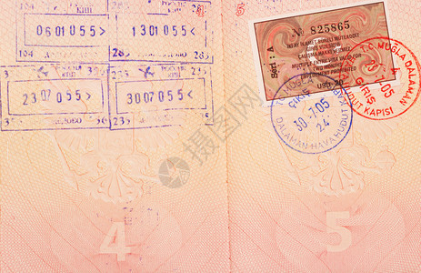 护照网页上的入图片