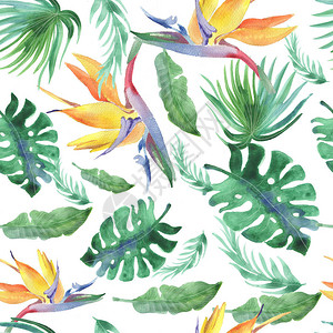 热带树叶的美丽水彩图案背景图片
