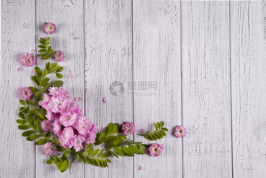 美丽的粉红玫瑰花边框在白色木背景图片