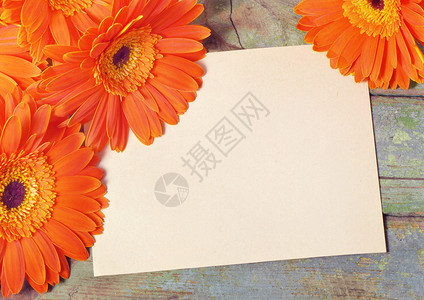 在木板上用橙花环绕的木板纸图片