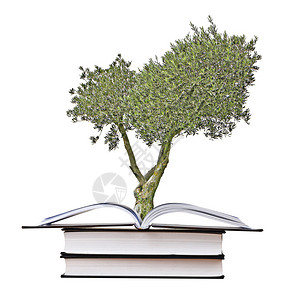 从书上生长的橄榄树图片