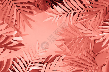 珊瑚热带纸切棕榈叶框架背景图片