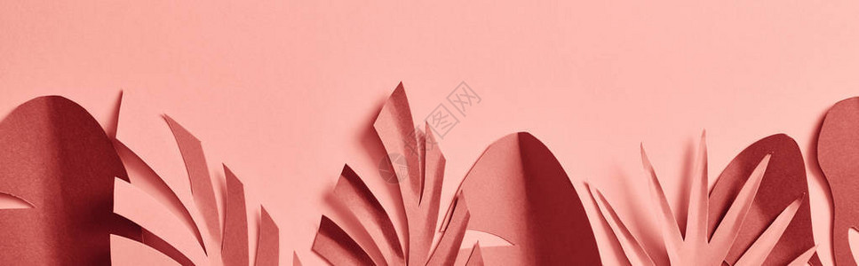 粉红背景的棕榈叶涂上粉红色背景的纸背景图片