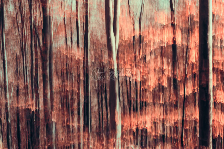 原木森林组成图片