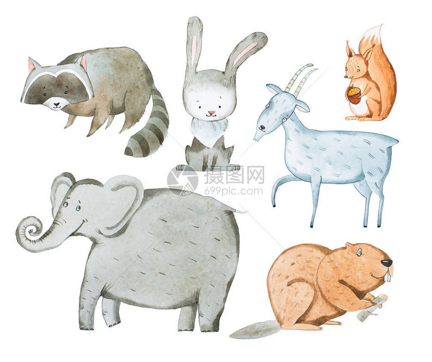 动物手绘水彩画水彩插图图片
