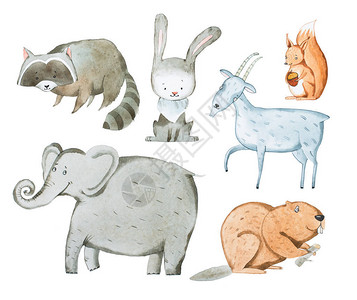 动物手绘水彩画水彩插图背景图片