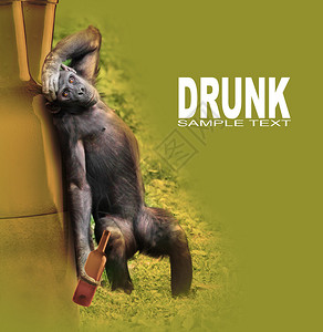 摸你黑派对过后喝醉黑猩宿醉你邀请派对的插画