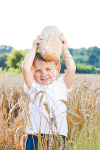 男孩在你的头上有面包在成熟的谷粒上太阳在你背后图片