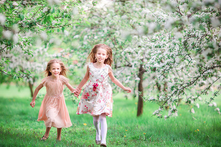 美丽的春日在盛开的樱桃花园里有图片
