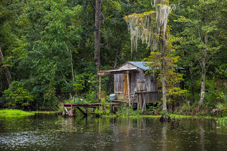 美国路易斯安那州新奥尔良沼图片