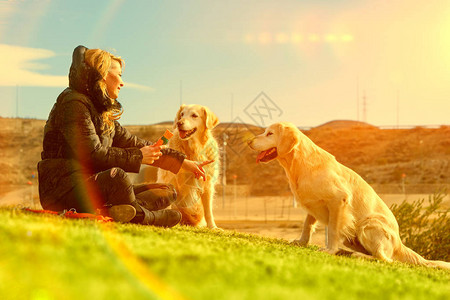 在公园里玩耍的女人和狗伴侣宠物概念宠物和狗训练和教育狗图片