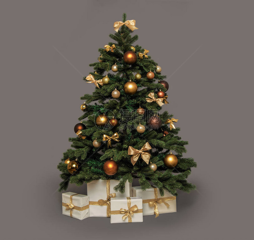 圣诞节树下有图片