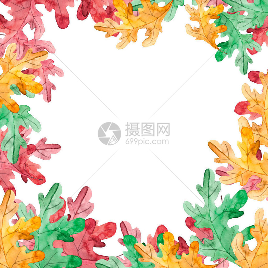 秋季花卉框架与白色背景上的彩色叶子图片