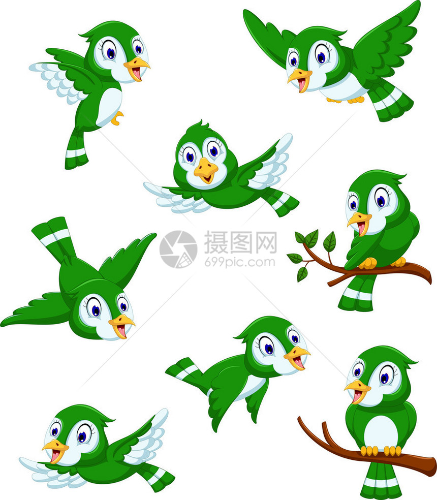 一组绿鸟卡通摆姿势的插图图片