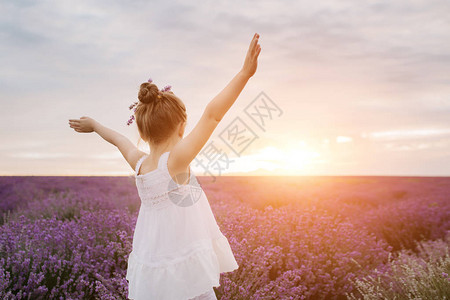 日落时在紫衣草地上快乐图片