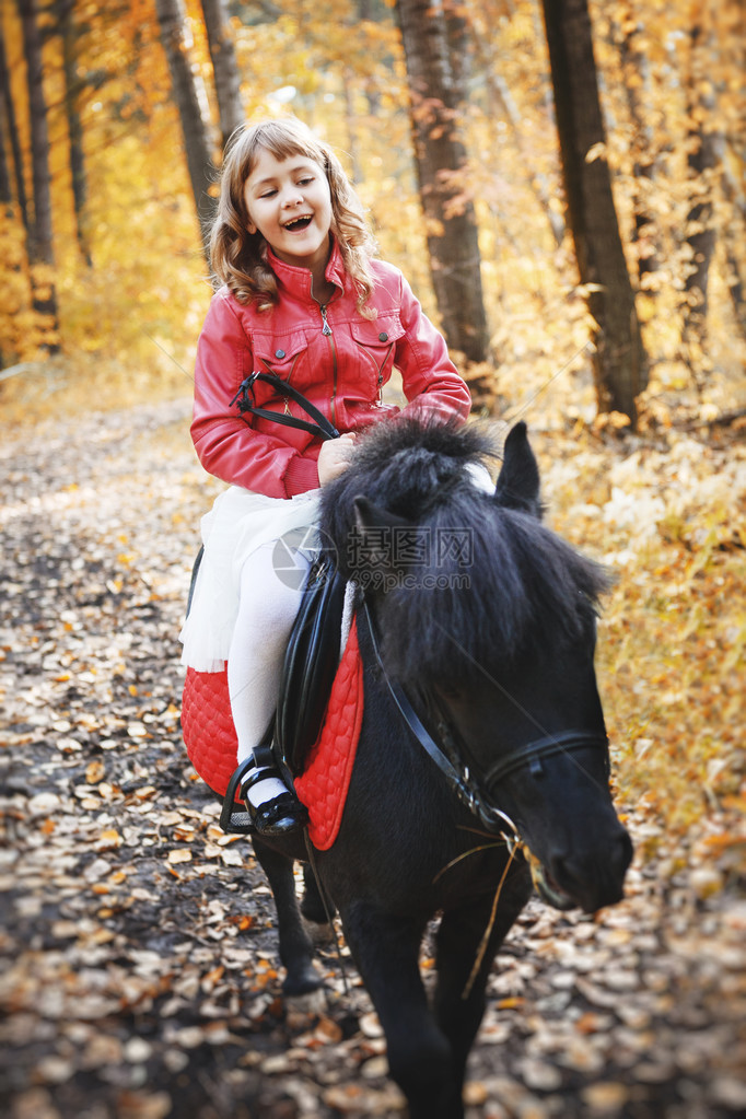 在秋天的森林里骑小马的女孩图片