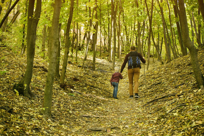 走在秋天的森林里的父子背影图片