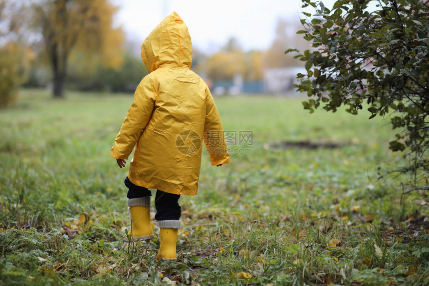 一个穿着雨衣的孩子在秋日户外散步图片