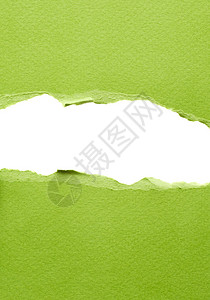 带文本位置的绿色撕纸图片