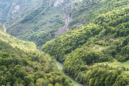 塔拉峡谷黑山仅次于美国大峡谷的世图片