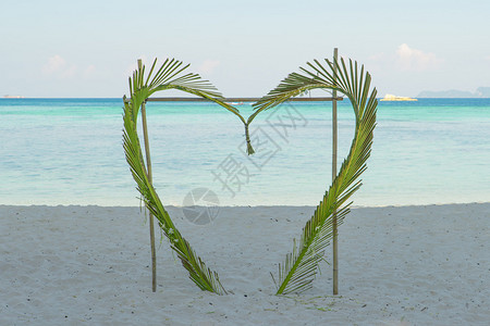 泰国普吉岛海滩上的椰子叶心图片