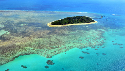 凯恩斯绿岛大堡礁澳大利亚昆士兰州北昆士兰热带地区凯恩斯附近大堡礁上的绿岛珊瑚背景