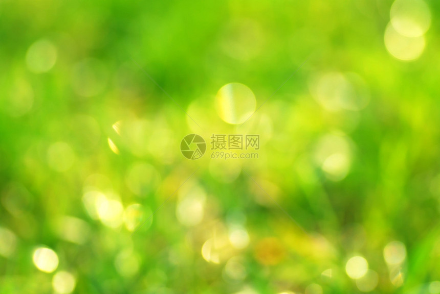 绿草散景抽象光背景图片