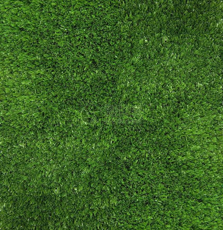 春季青草覆盖绿地的壁纸图片