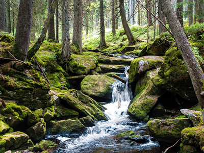 苔藓岩石间的山林瀑布清新的绿色风景图片