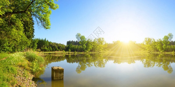 森林中的池塘捷克共和图片