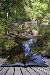 美丽的河流在夏季概念书形象中穿过森林景观背景图片