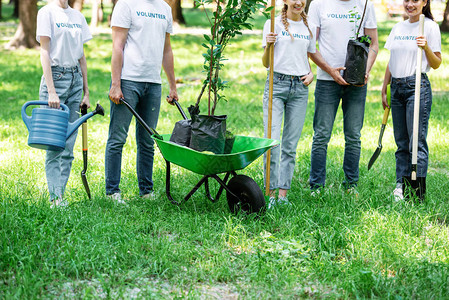志愿人员在公园一起植树种图片