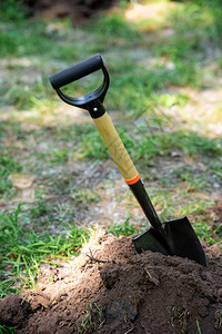 一铲在土壤中的铲子用图片