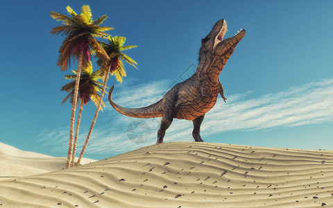 沙漠口渴中的恐龙这是图片