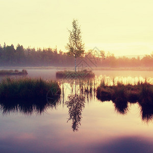 梦幻森林中的清晨秋湖图片