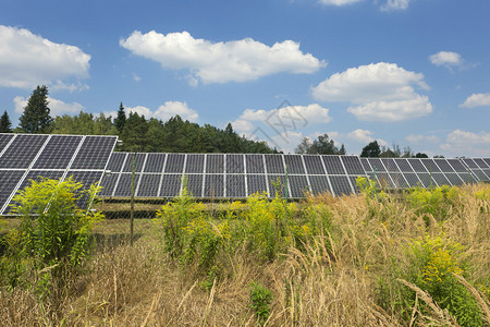 夏季自然期太阳能发电站图片