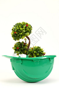 绿色头盔绿色植物白环保产业理念图片