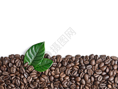 咖啡粒和叶子边框图片