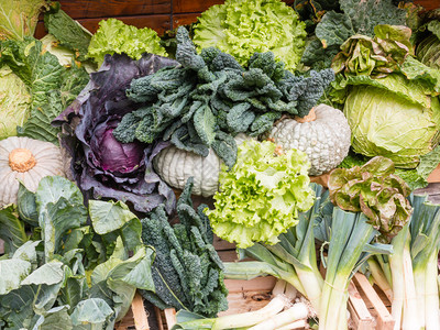 混合新鲜绿叶蔬菜和其他植物图片