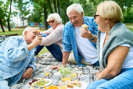 一群快乐的老朋友在公园绿色草坪上野餐的画像背景图片