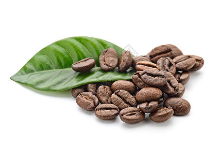 咖啡粒和咖啡叶图片