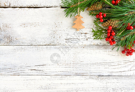 圣诞木背景红果和甜瓜带fir图片