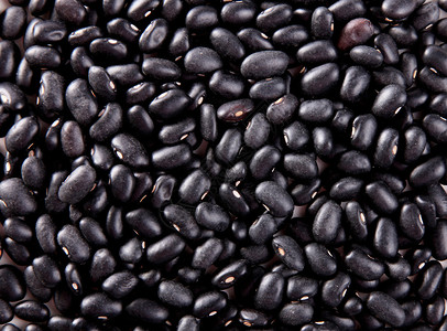 小黑豆的质地生食的形象背景图片